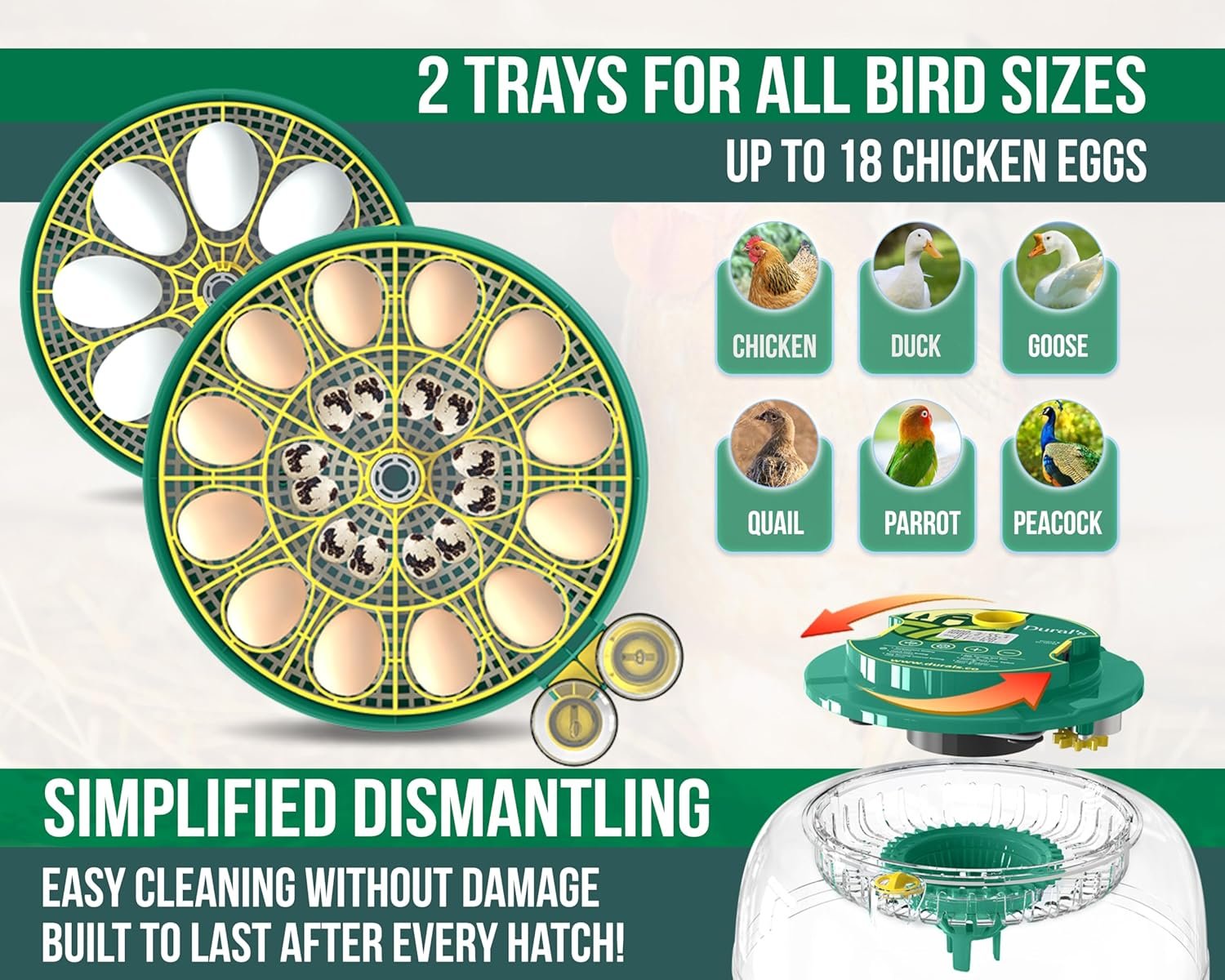 Dural’s DX5® – Incubator automat pentru ouă, certificat FCC & CE, cu întoarcere automată a ouălor și control al umidităţii – capacitate până la 18 ouă (găini, prepeliţe, raţe) - imagine 6