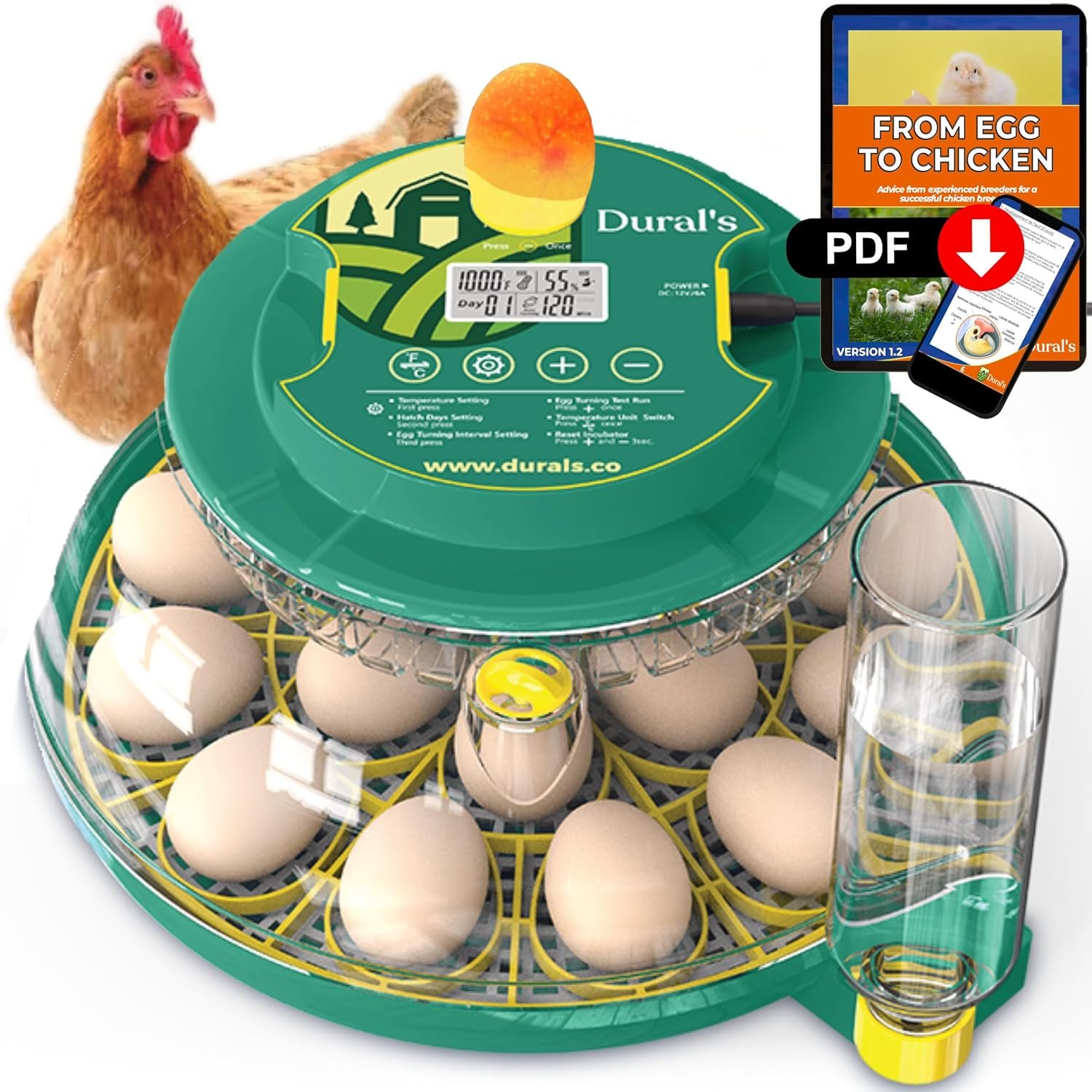 Dural’s DX5® – Incubator automat pentru ouă, certificat FCC & CE, cu întoarcere automată a ouălor și control al umidităţii – capacitate până la 18 ouă (găini, prepeliţe, raţe)