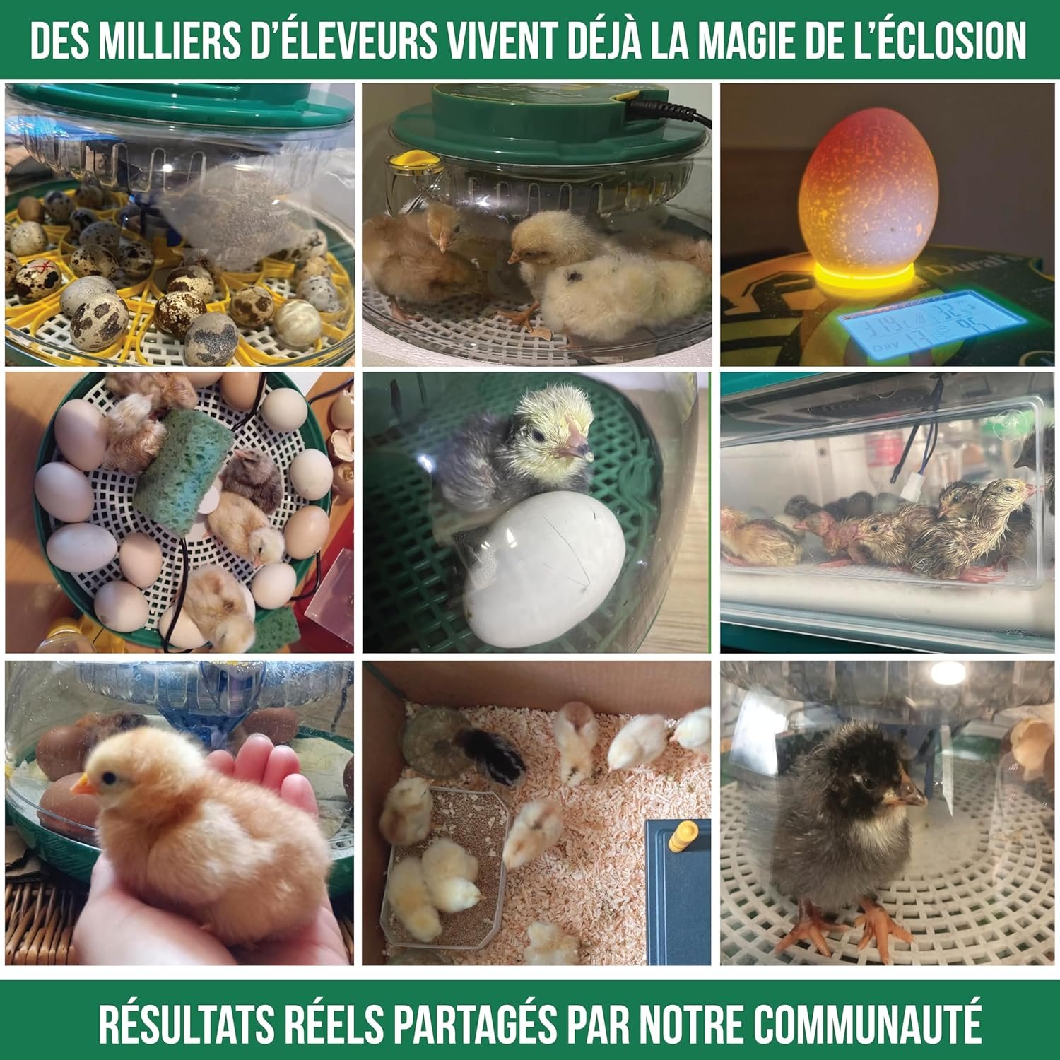 Dural’s DX5® – Incubator automat pentru ouă, certificat FCC & CE, cu întoarcere automată a ouălor și control al umidităţii – capacitate până la 18 ouă (găini, prepeliţe, raţe) - imagine 2