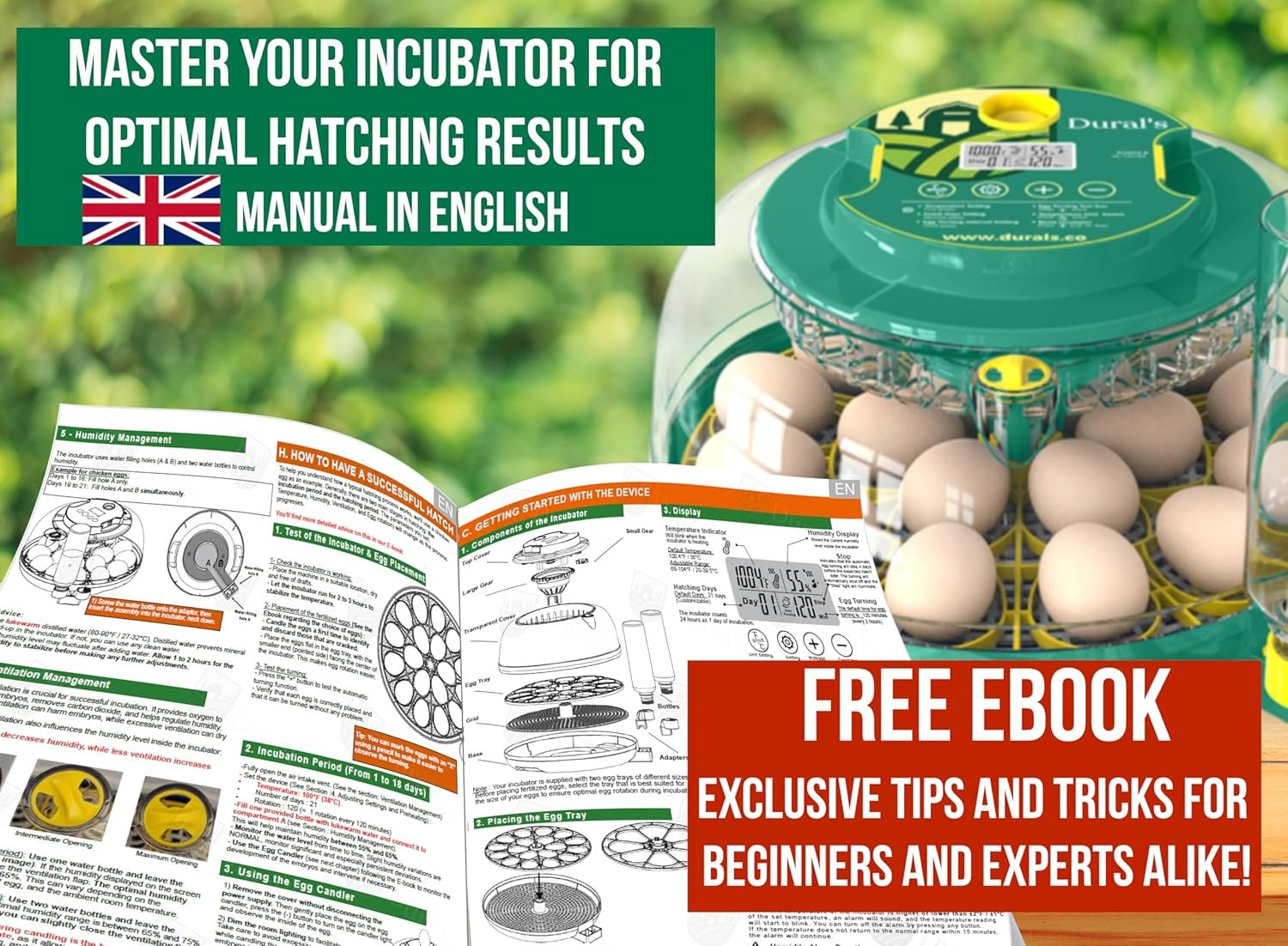 Dural’s DX5® – Incubator automat pentru ouă, certificat FCC & CE, cu întoarcere automată a ouălor și control al umidităţii – capacitate până la 18 ouă (găini, prepeliţe, raţe) - imagine 7